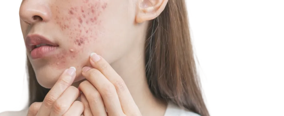 TCA CROSS in Singapore